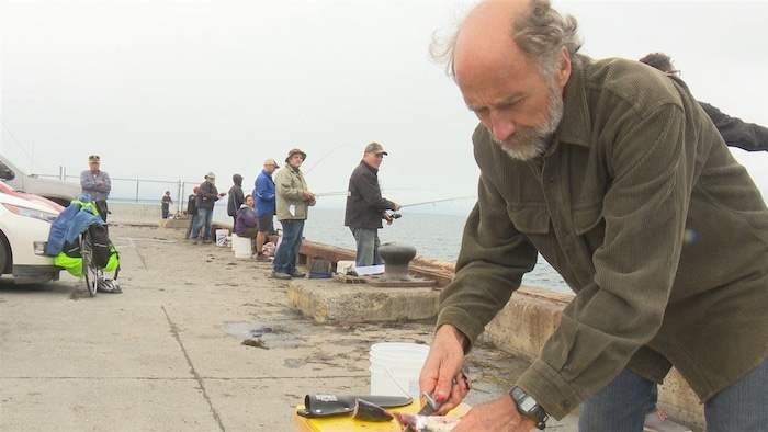 Des dizaines de pêcheurs ont mis leur ligne à l’eau au quai de Carleton-sur-Mer  