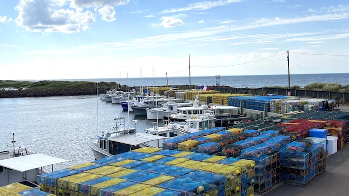 Des bateaux de pêche amarrés au quai et des casiers à homard empilés sur le quai.
