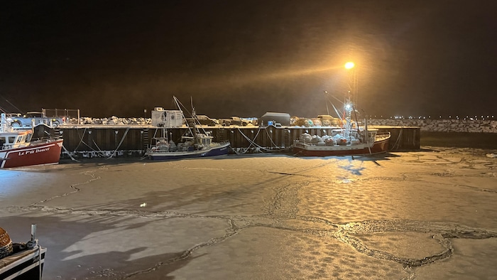 Des crabiers au quai de Rimouski. La surface de l'eau est recouverte de glace.