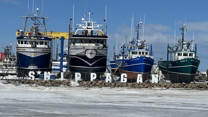 Des bateaux en cale sèche.