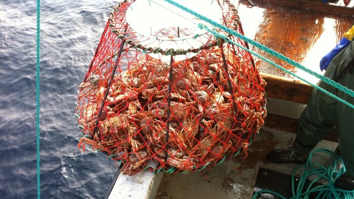 Des pêcheurs sur leur bateau remontent une nacelle pleine de crabes.