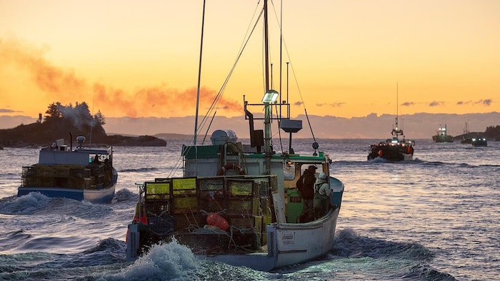 Des bateaux de pêche qui prennent le large.