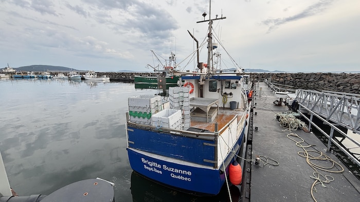 Un bateau de pêche spécialisé en capture du homard.