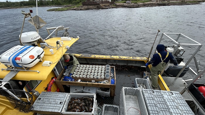 Des pêcheurs travaillent sur un bateau.