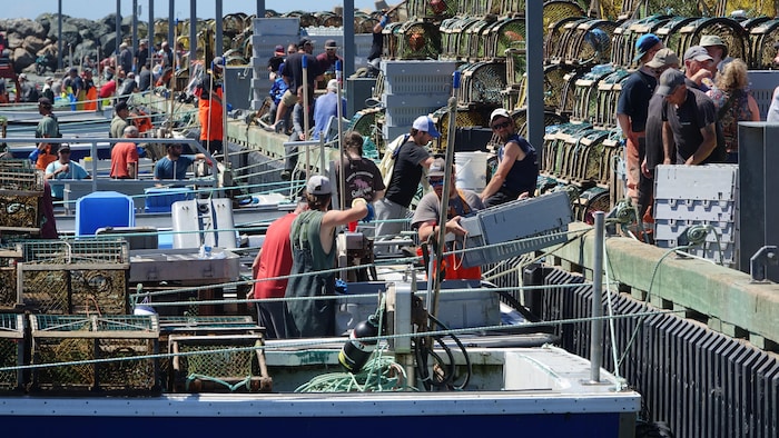 Des bateaux de pêche avec des gens qui travaillent.