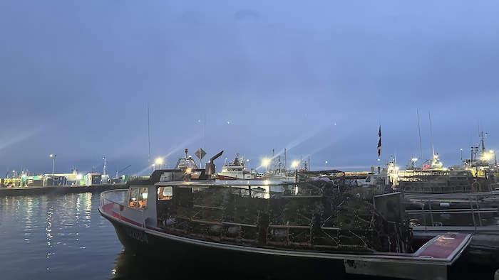 Des bateaux de pêche amarrés et chargés des casiers de homard.