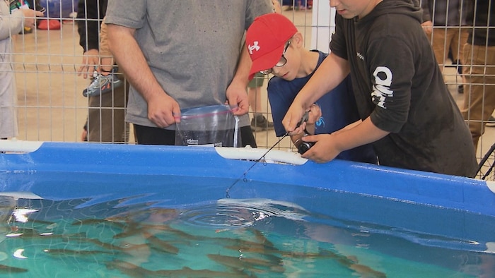 Un enfant pêche dans une piscine.