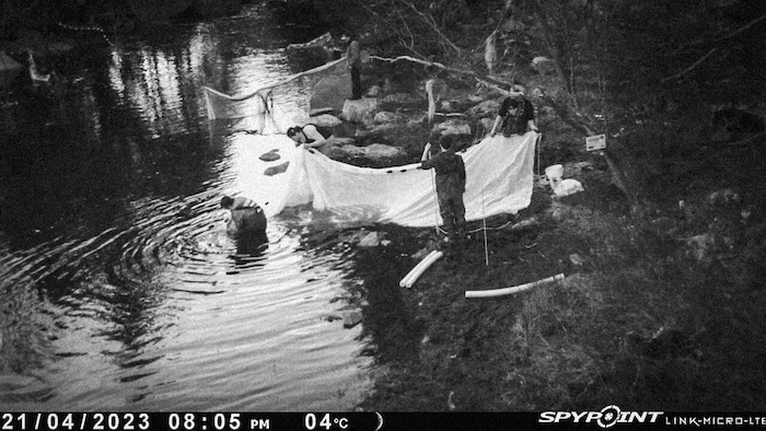 Des gens étendent un filet dans l'eau.