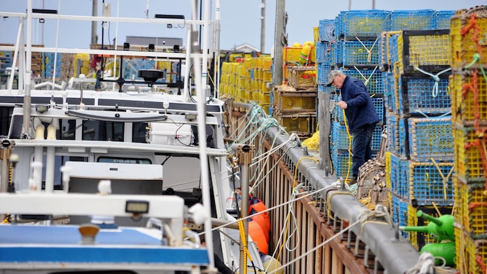 Les pêcheurs se préparent pour une nouvelle saison au quai d'Escuminac. La saison dans la zone 23 est prévue de débuter la semaine prochaine.