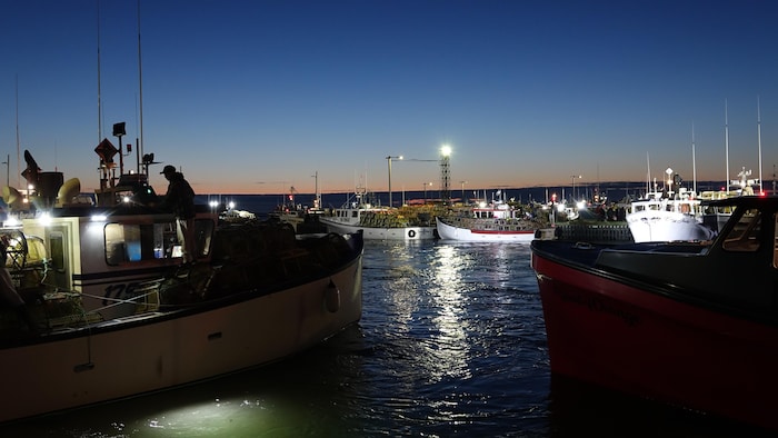 Une photo des bateaux de pêche, peu avant le départ.