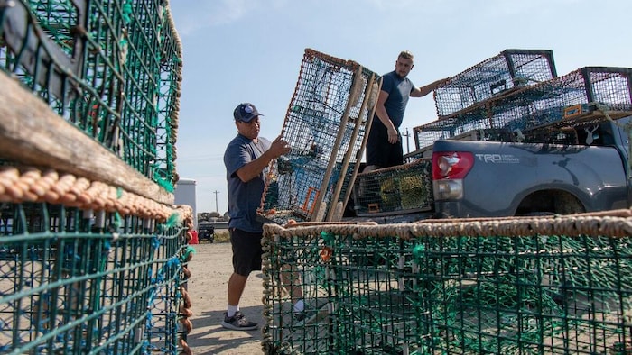 Deux hommes chargent des casiers à homards vides dans une camionnette.