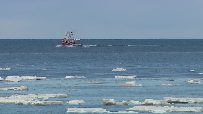 À l'horizon, un crabier navigue. Sur le fleuve, demeurent des plaques de glace.