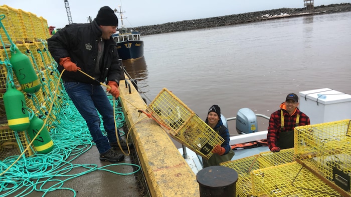 Des pêcheurs de homards au quai de L'Anse-à-Beaufils, en Gaspésie