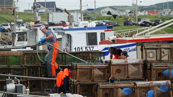 Des pêcheurs s'amarrent au quai avec un bateau rempli de cages.