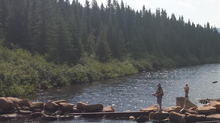 Des gens pêchent à la mouche dans une rivière entourée de conifères.