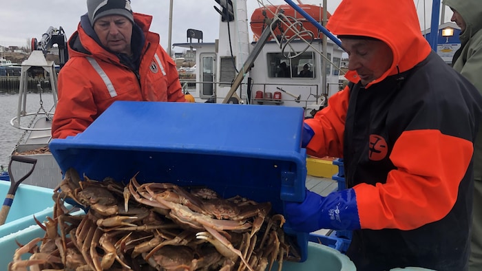 Des pêcheurs sur un quai transfère des crabes des neige d'un contenant à un autre. Il y a un bateau de pêche en arrière plan.