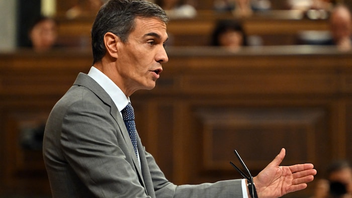Pedro Sánchez prononce un discours devant le Congrès des députés.