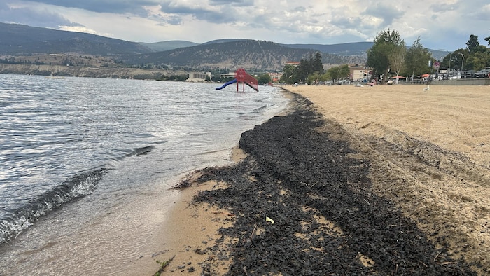 Une plage à Penticton le 14 août 2026.
