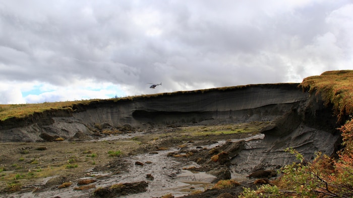 Une crevasse dans le sol expose une épaisse couche de terre riche en minéraux.