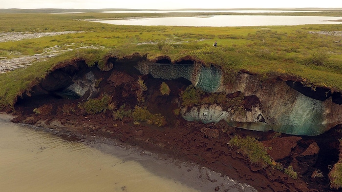 La fonte de la glace du pergélisol est visible sur cette côte dans le delta du Mackenzie, aux Territoires du Nord-Ouest.