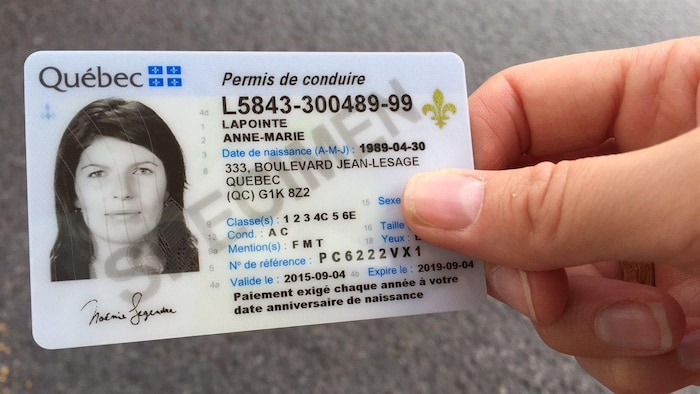 Un spécimen de permis de conduire du Québec.