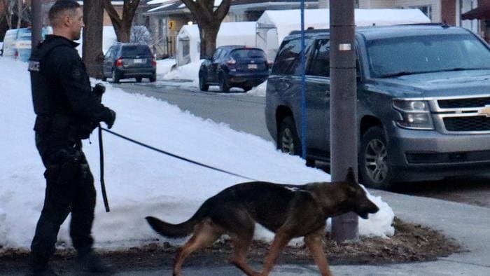 Un policier tient en laisse un berger allemand.