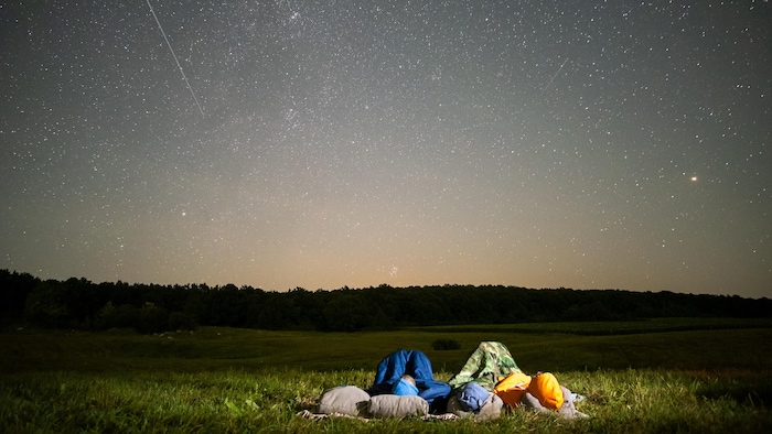 Des personnes observent un ciel sombre parsemé d'étoiles brillantes.