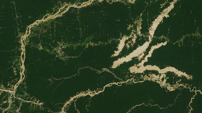 Estas imágenes de la NASA revelan pérdidas de bosque en áreas protegidas, como la Reserva Nacional de Tambopata. Los altos índices de pérdida de bosques son debidos a operaciones mineras de oro a pequeña escala que utilizan el agua de los ríos amazónicos para la amalgamación del oro, un proceso para extraer oro utilizando mercurio. La mitad de la pérdida de bosques se produjo en zonas donde la minería no es legal. 