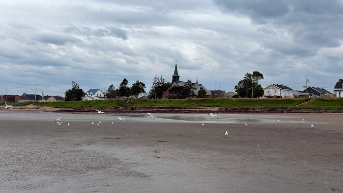 Des maisons et une église au bord d'un fleuve à marée basse avec quelques goélands sur la plage. 