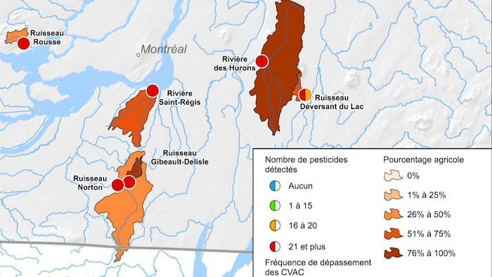 Une carte.