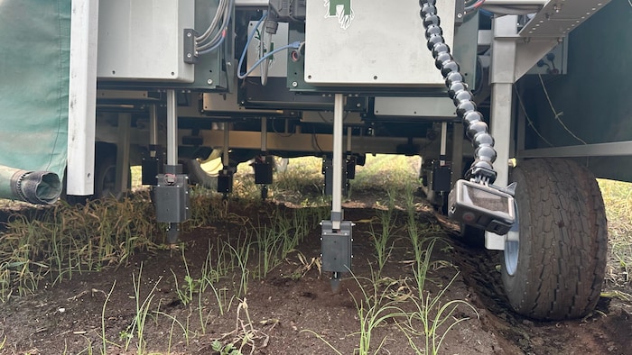 An agricultural machine. say goodbye roundup | radio-canada say goodbye roundup | radio-canada new