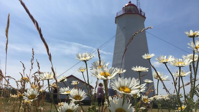 Le phare de Miscou, au Nouveau-Brunswick.