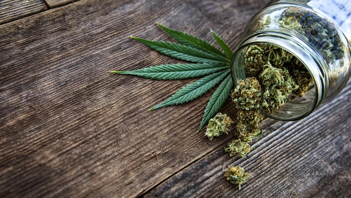 Pot de cannabis versé sur une table en bois.