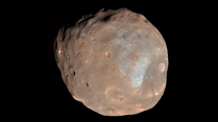 Phobos, la plus grande des deux lunes de Mars, est visible sur cette image non datée prise par la caméra HiRISE (High Resolution Imaging Science Experiment) de la NASA.