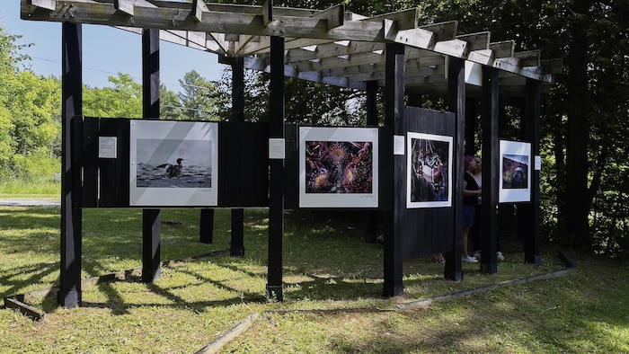 Des photos en grand format sur des structures en bois.