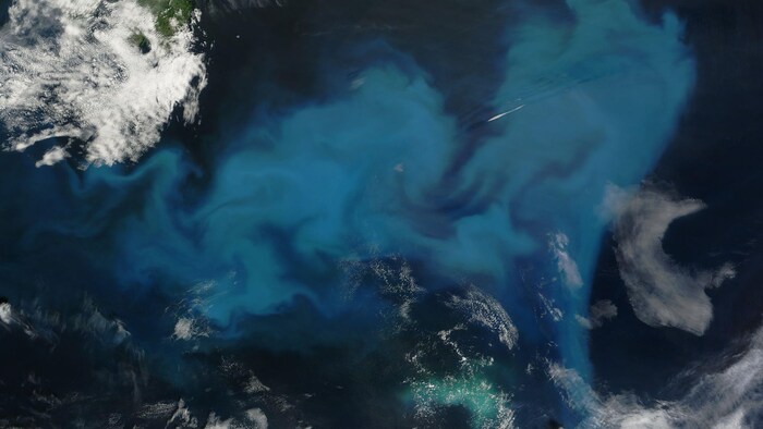 Image satellitaire sur laquelle on voit une grande nappe d'eau turquoise.