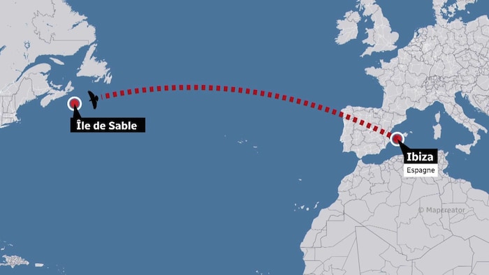 Carte géographique indiquant la position respective des îles de Sable et d'Ibiza.