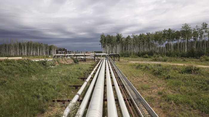 Pipelines dans un paysage.