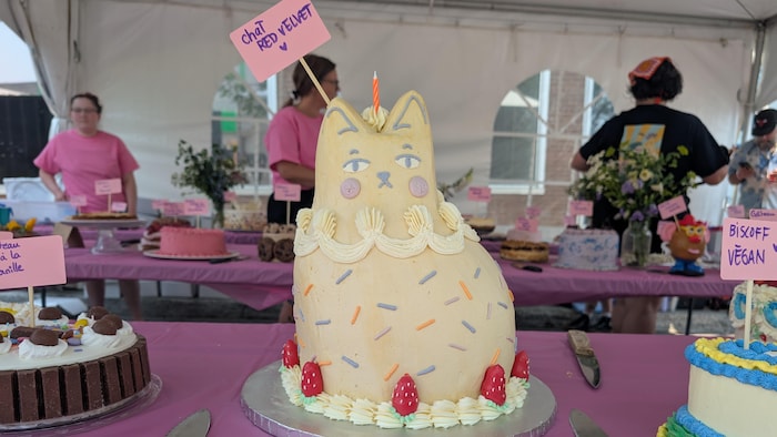 Un gâteau en forme de chat.