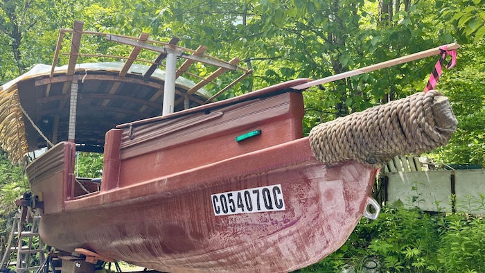 pirogue.