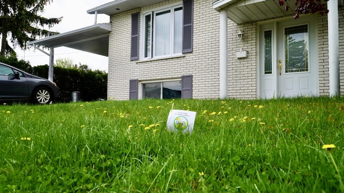 Devant une maison, une pelouse est recouverte de pissenlits en fleurs. Au milieu, une affiche est plantée pour siginifer que l'on protège les pollinisateurs.                               