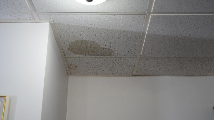 Des tâches au plafond d'un logement.
