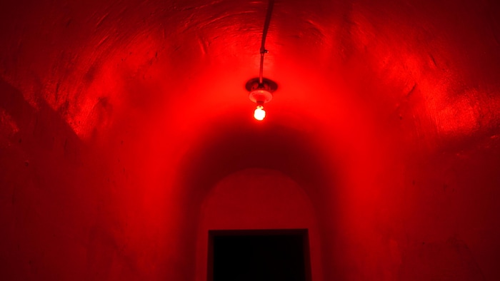 Un plafond arrondi éclairé par une ampoule rouge indigo. 