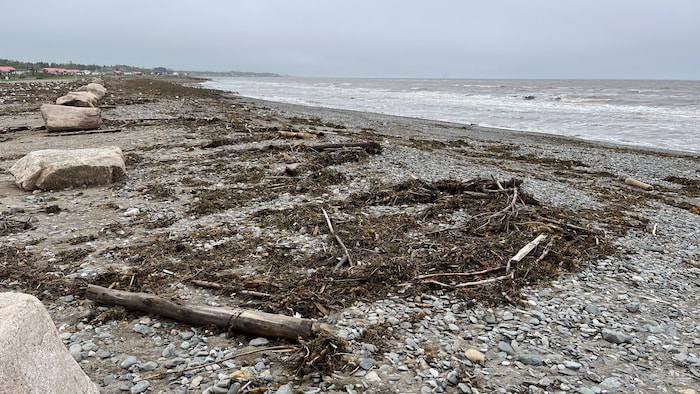 Des débris sur la plage.
