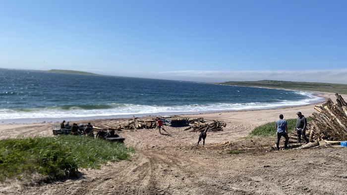 Plage de sable en bord de mer avec des personnes, des piles de bois et des véhicules tout-terrain.