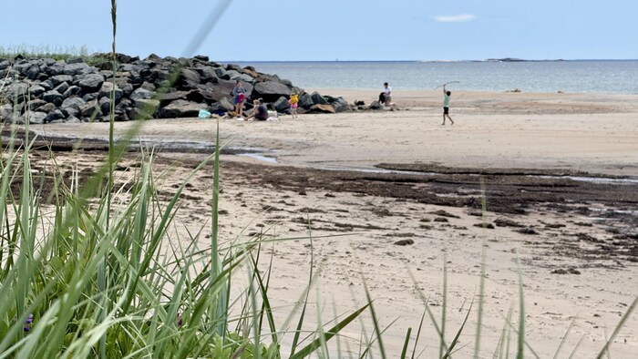 Une famille est sur la plage du Lac des Rapides.