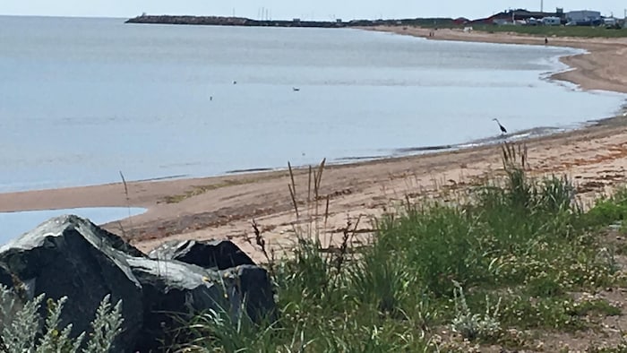 La plage de Sainte-Marie-Saint-Raphaël.