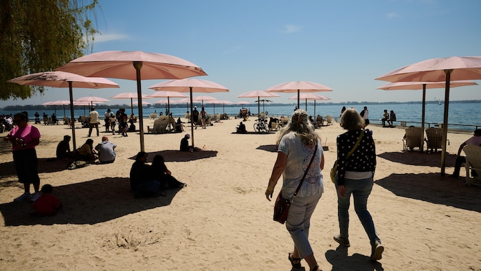 Des gens profitent du beau temps au bord de l’eau par une chaude journée au parc Sugar Beach à Toronto, le dimanche 17 mai 2026.