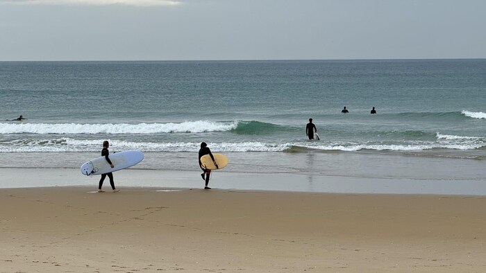 Des surfeurs au Portugal.