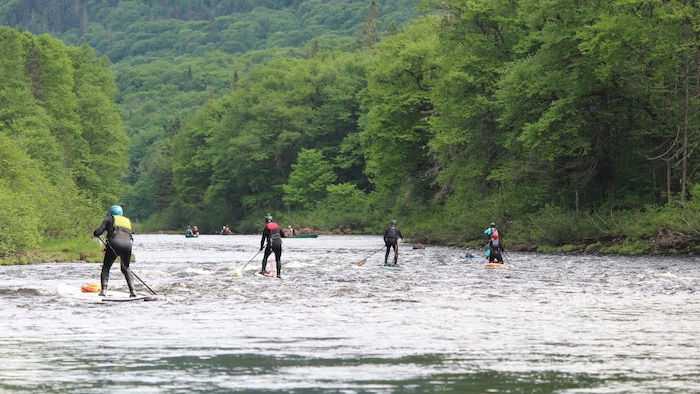 Des gens en planche à pagaie sur une rivière.